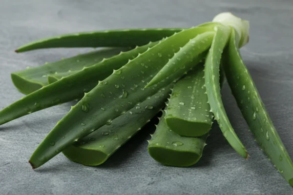 Banish Post-Wax Itch: 5 Soothing Strategies for 2026